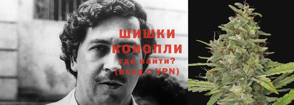 мяу мяу мука Балабаново