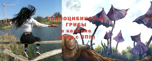 стафф Балахна