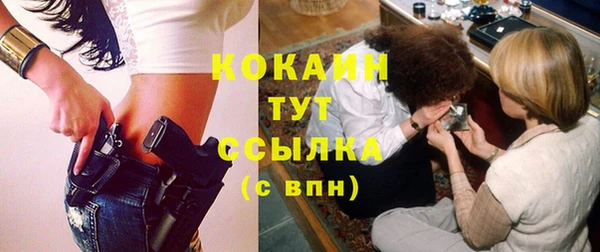МДПВ Снежинск